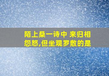 陌上桑一诗中 来归相怨怒,但坐观罗敷的是